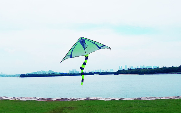 Kite flying over at St John Island with Gogreen